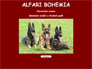 Alfari Bohemia