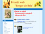 Briardí web