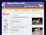 Rags Puma - Jack Russell terrier